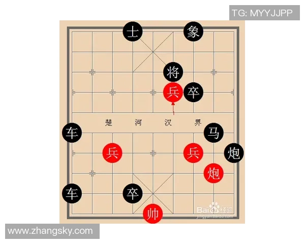 从零基础到高手之路乒乓球配合技巧全解析与实战指南