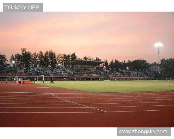 飞盘之路：重庆飞盘队的奋斗与荣耀全景纪实